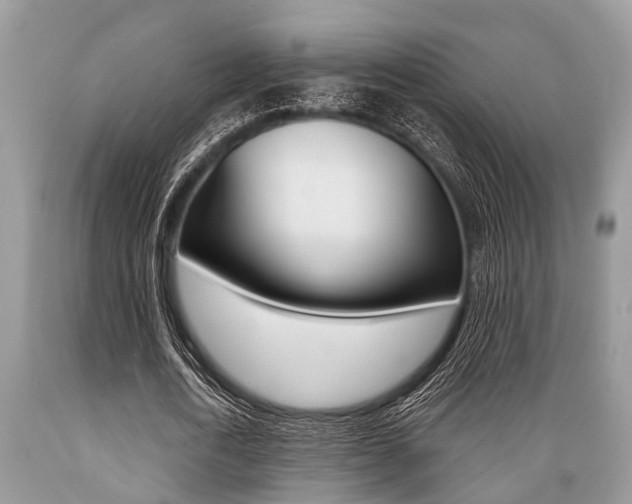X0000089660722200706210730
