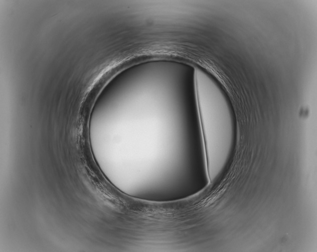 X0000089660723200706210730