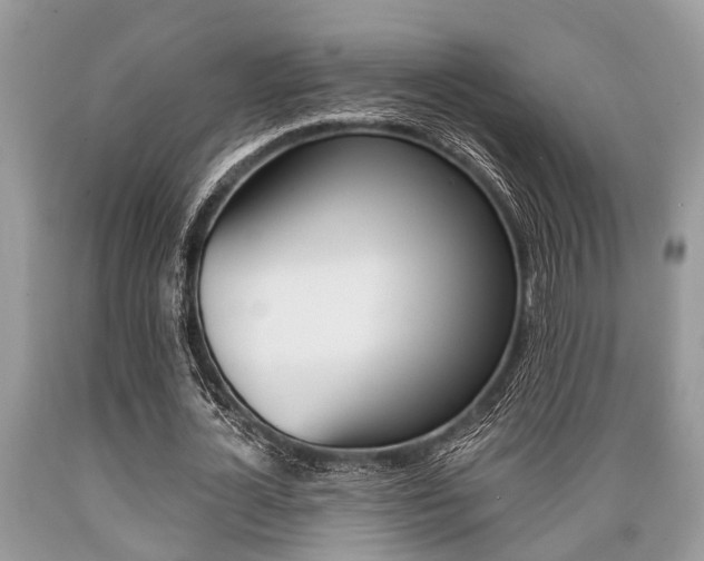 X0000089660724200706210730
