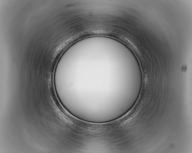 X0000089660725200706210730