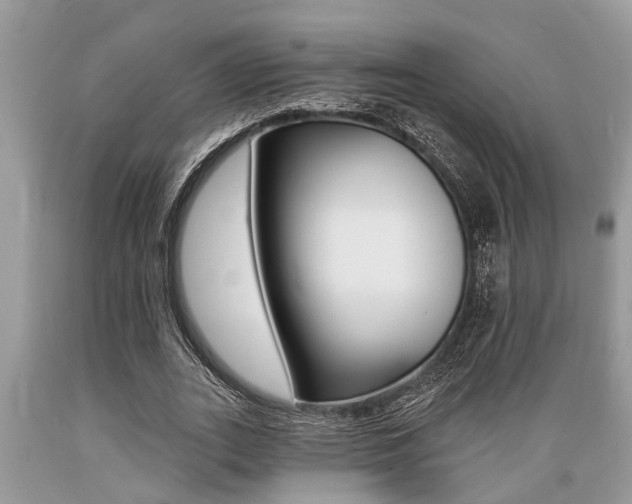 X0000089660727200706210730