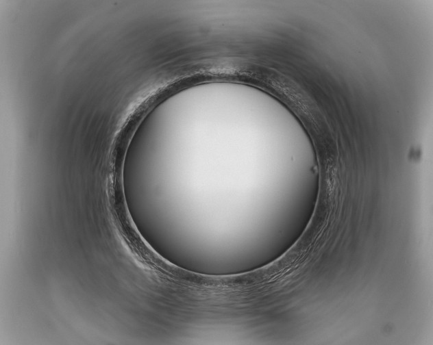 X0000089660728200706210730