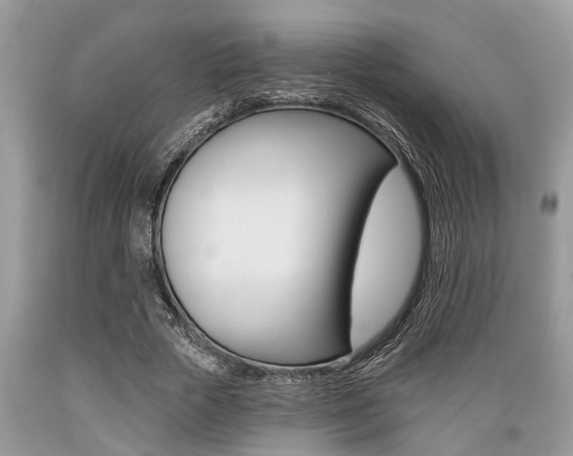 X0000089660729200706210730
