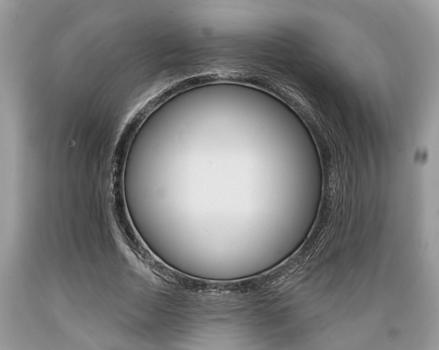 X0000089660730200706210730