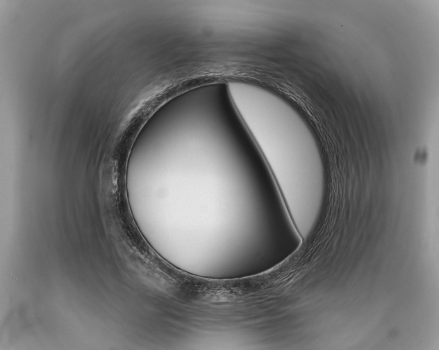 X0000089660731200706210730