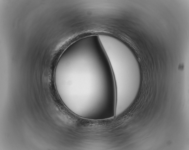 X0000089660732200706210730