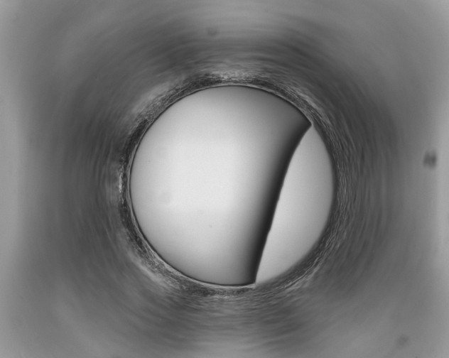 X0000089660733200706210730