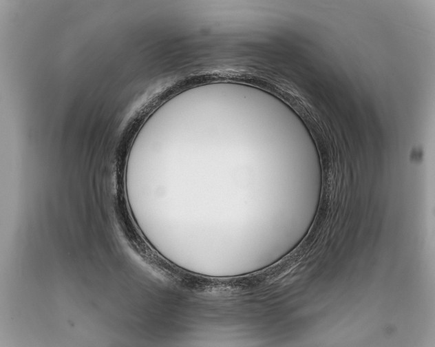 X0000089660734200706210730