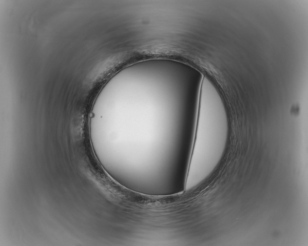 X0000089660735200706210730