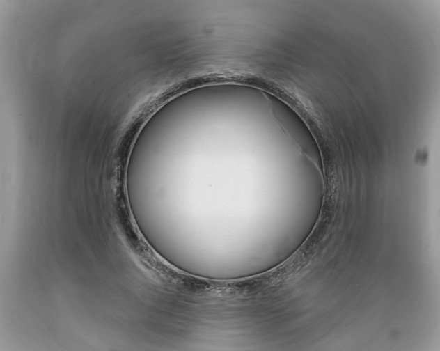 X0000089660736200706210730