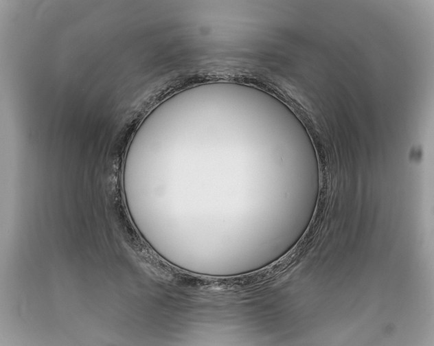 X0000089660737200706210730