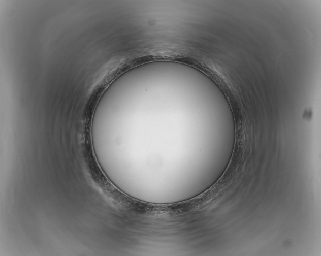 X0000089660738200706210730