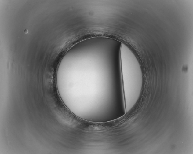 X0000089660739200706210730