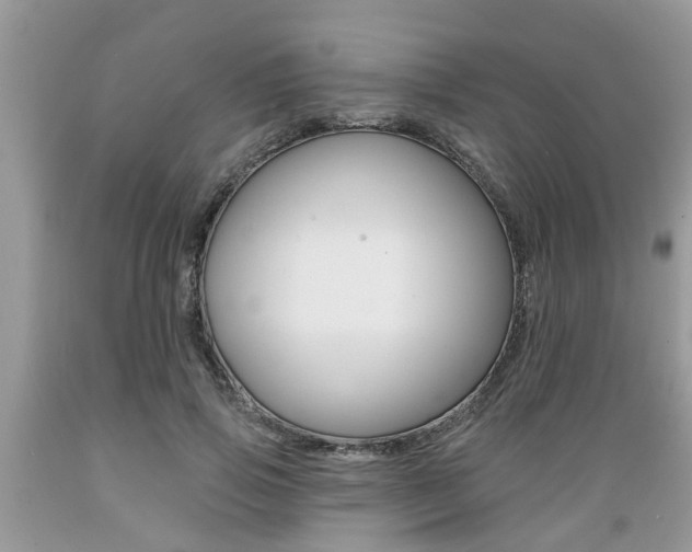 X0000089660741200706210730