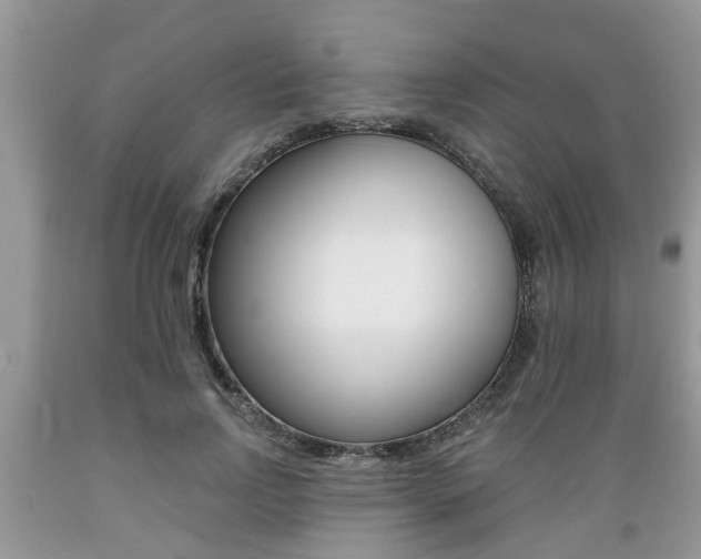X0000089660742200706210730