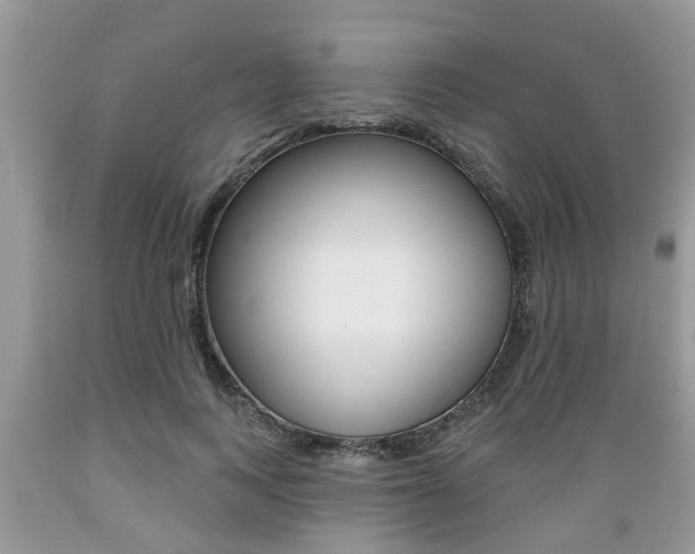 X0000089660743200706210730