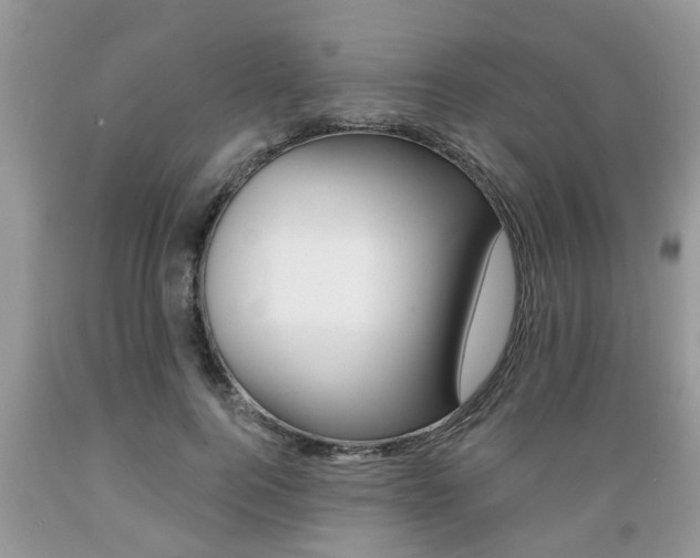 X0000089660744200706210730