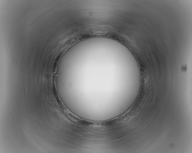 X0000089660745200706210730