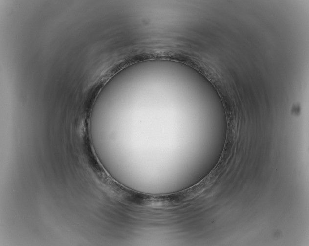 X0000089660746200706210730