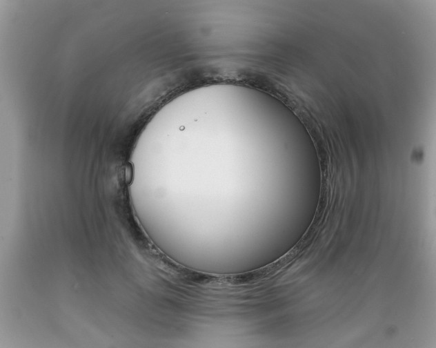 X0000089660747200706210730