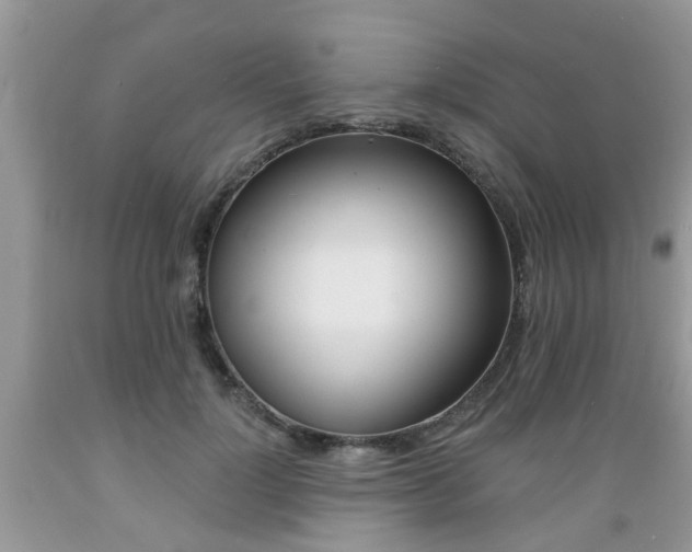X0000089660748200706210730