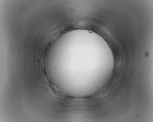 X0000089660749200706210730