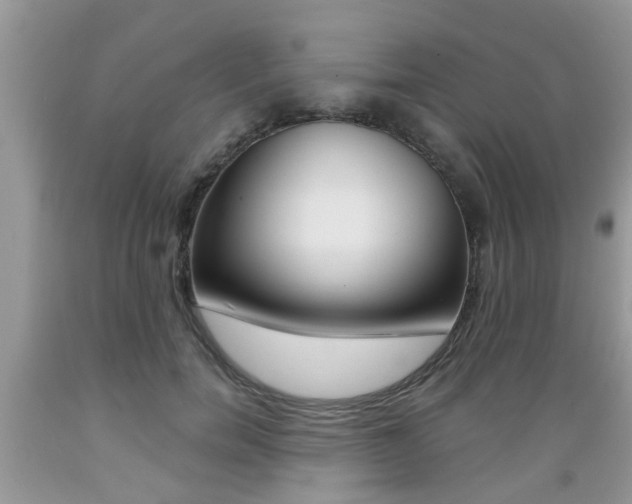 X0000089660750200706210730