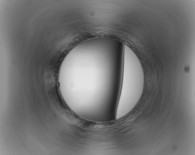 X0000089660751200706210730