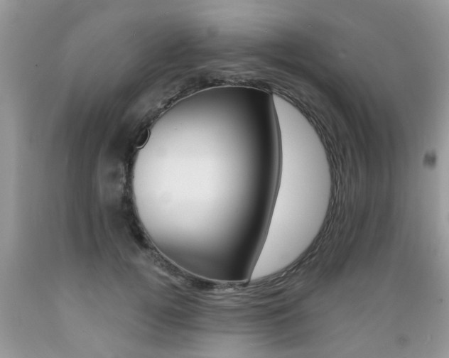 X0000089660752200706210730
