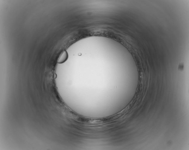 X0000089660753200706210730