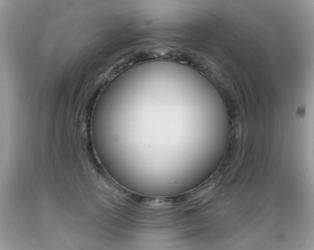 X0000089660754200706210730
