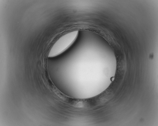 X0000089660755200706210730