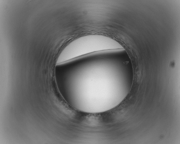 X0000089660756200706210730