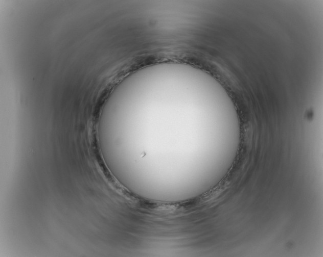 X0000089660757200706210730