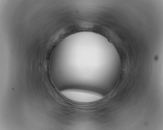 X0000089660758200706210730