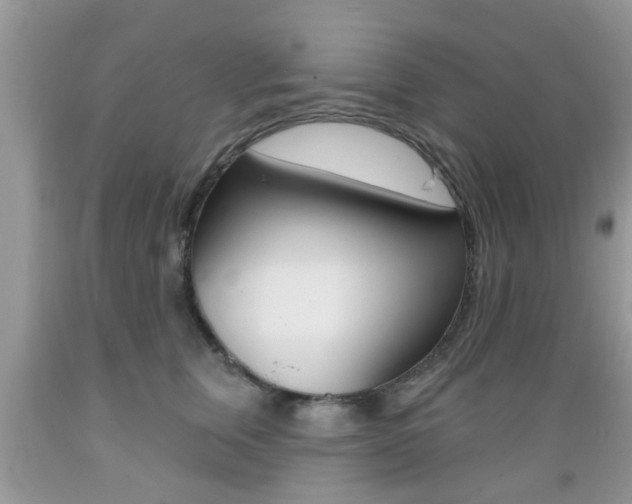 X0000089660759200706210730