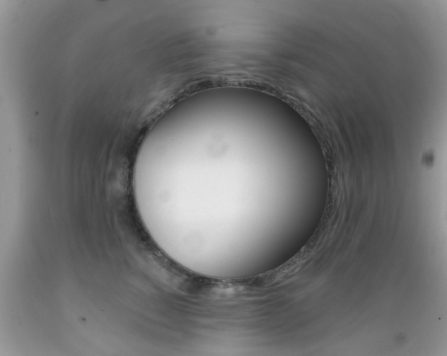 X0000089660760200706210730