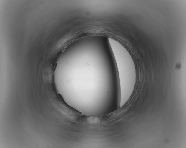 X0000089660762200706210730