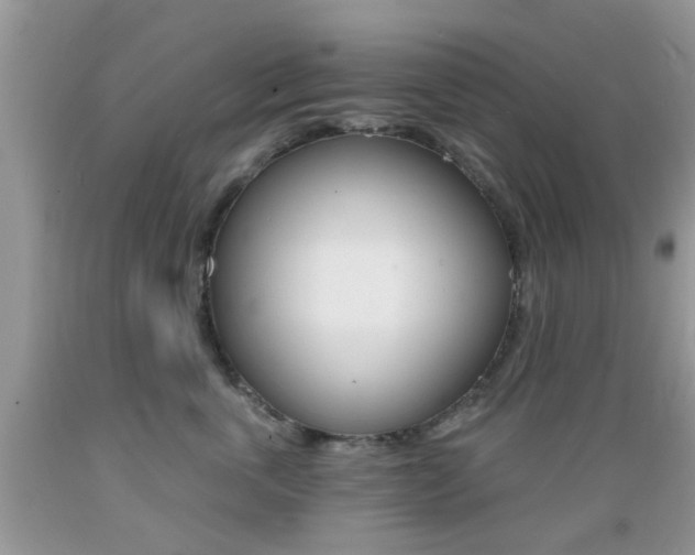X0000089660763200706210730