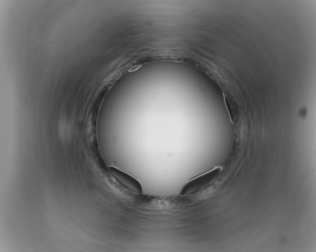X0000089660764200706210730