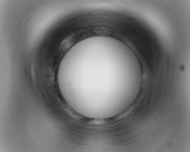X0000089660765200706210730