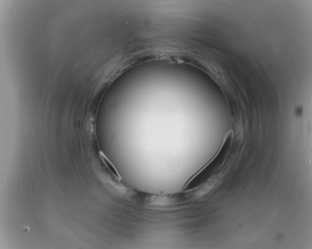 X0000089660766200706210730