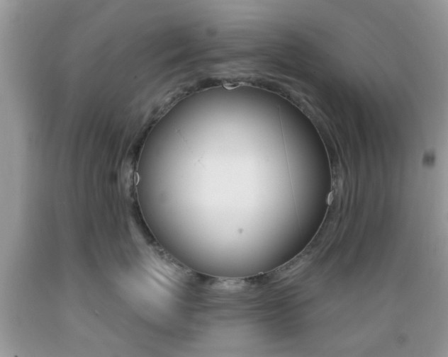 X0000089660767200706210730