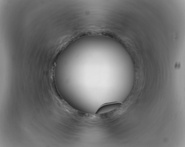 X0000089660768200706210730