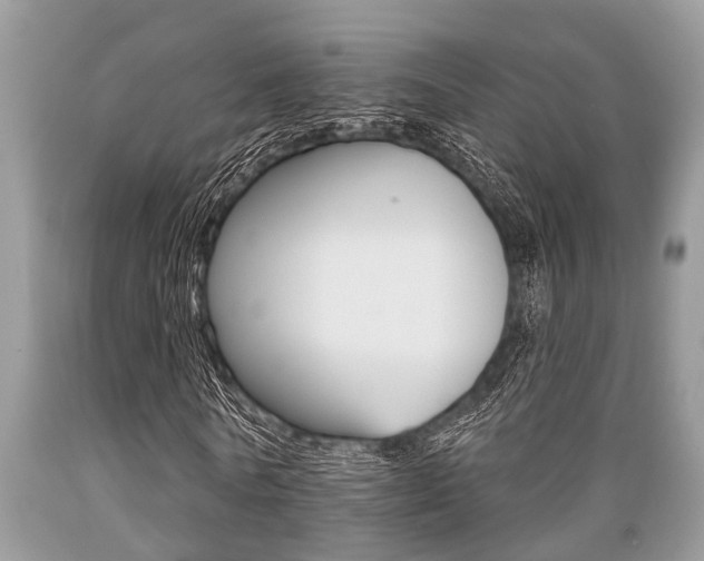 X0000089660770200706210730