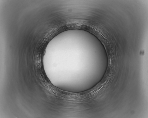 X0000089660771200706210730