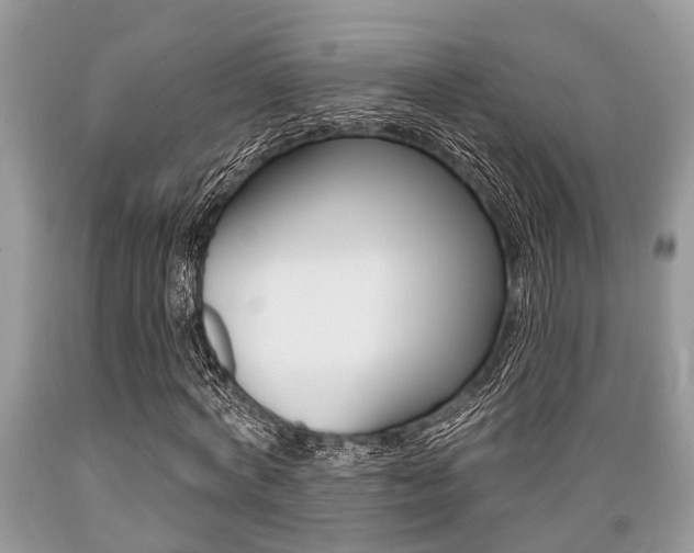 X0000089660772200706210730