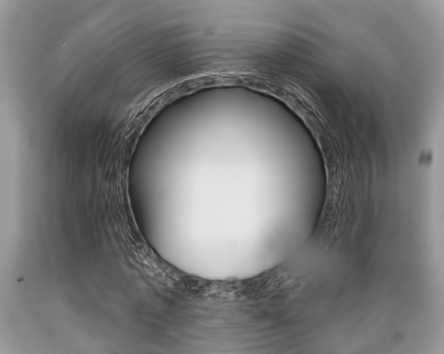 X0000089660773200706210730