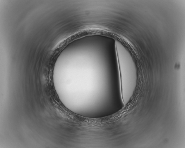 X0000089660775200706210730