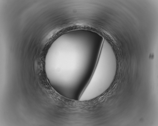 X0000089660776200706210730